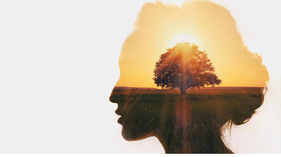 Création de site internet pas cher